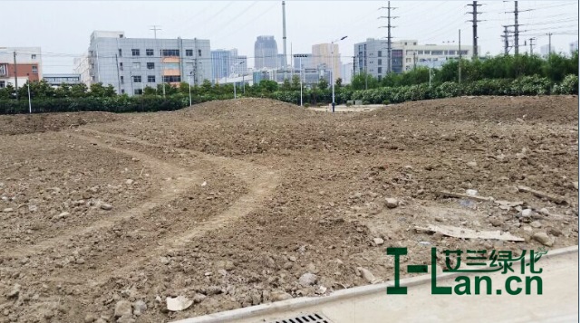 綠地造(zao)型平整