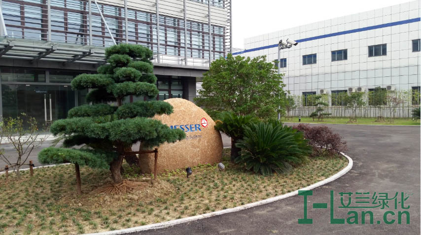 正們(men)入口小(xiǎo)品(pin)